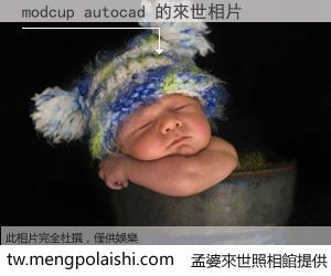 modcup autocad 來世的未來相片