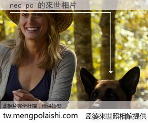 nec pc 來世的未來相片