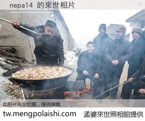 nepa14 來世的未來相片