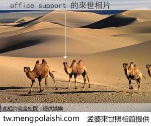office support 來世的未來相片