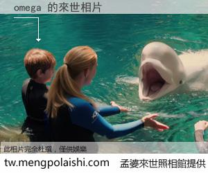 omega 來世的未來相片