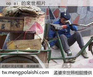 op ai 來世的未來相片