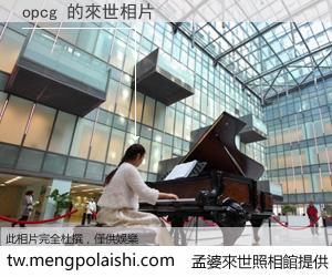 opcg 來世的未來相片