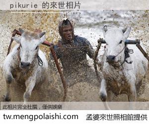 pikurie 來世的未來相片