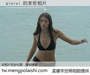 pixivi 來世的未來相片