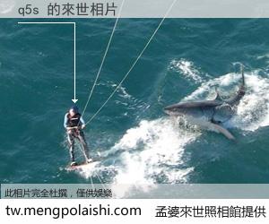 q5s 來世的未來相片
