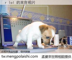 r lol 來世的未來相片