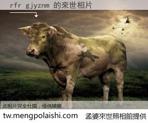 rfr gjyznm 來世的未來相片