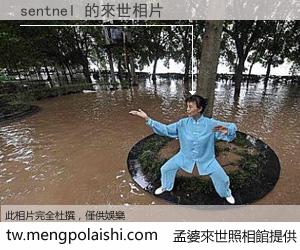 sentnel 來世的未來相片