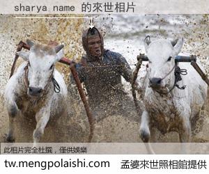 sharya name 來世的未來相片