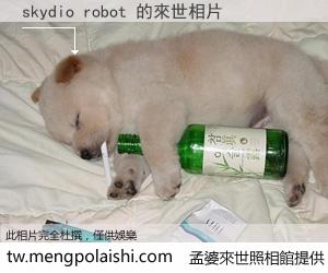 skydio robot 來世的未來相片