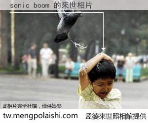 sonic boom 來世的未來相片