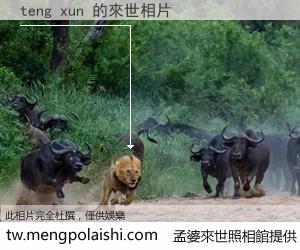 teng xun 來世的未來相片