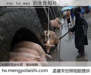 voc to wav 來世的未來相片
