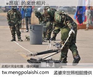 w昂宿 來世的未來相片