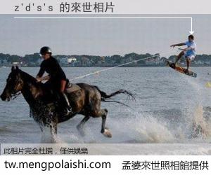 z'd's's 來世的未來相片