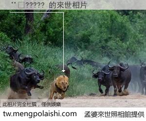 ��????? 來世的未來相片