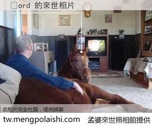 ًord 來世的未來相片