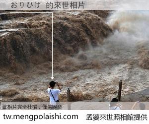 おりひげ 來世的未來相片