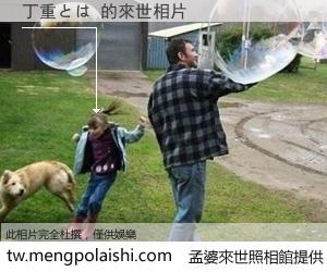 丁重とは 來世的未來相片