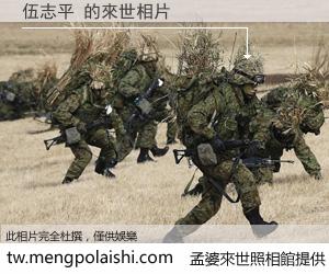 伍志平 來世的未來相片