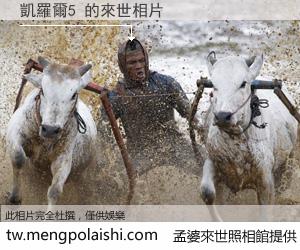 凱羅爾5 來世的未來相片