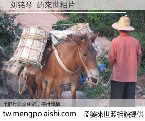 刘铭琴 來世的未來相片