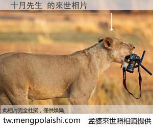 十月先生 來世的未來相片