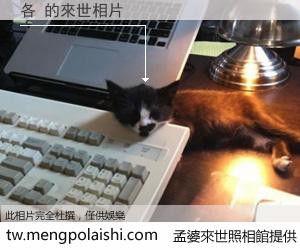 各 來世的未來相片