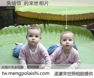 吳培信 來世的未來相片