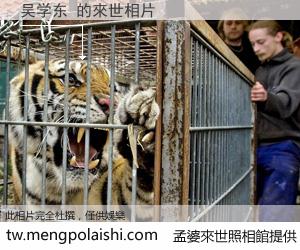 吴学东 來世的未來相片