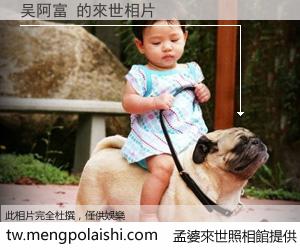 吴阿富 來世的未來相片