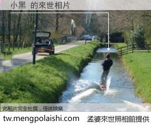 小黑 來世的未來相片