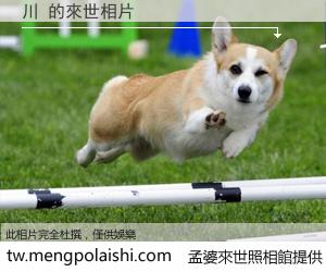 川 來世的未來相片