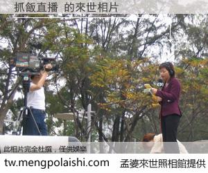 抓飯直播 來世的未來相片