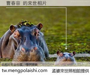 曹春容 來世的未來相片