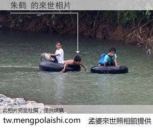 朱鹤 來世的未來相片