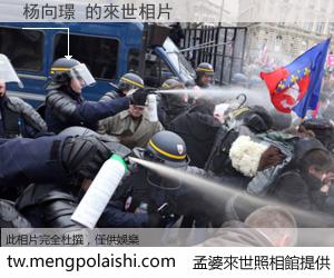 杨向璟 來世的未來相片