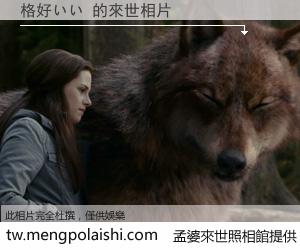 格好いい 來世的未來相片