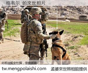 格韦尔 來世的未來相片