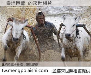 泰坦巨龍 來世的未來相片