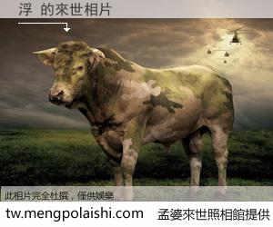 浮 來世的未來相片