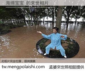 海绵宝宝 來世的未來相片