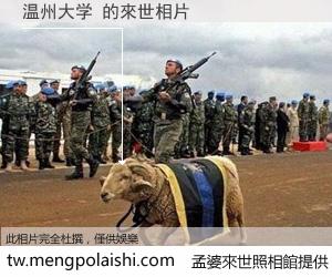 温州大学 來世的未來相片