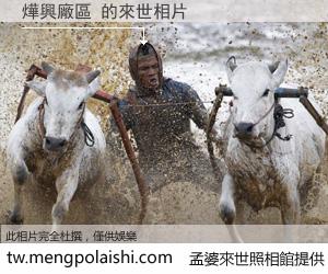 燁興廠區 來世的未來相片