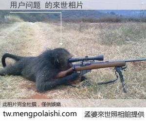 用户问题 來世的未來相片