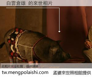 白雲倉雄 來世的未來相片