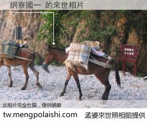 網寮國一 來世的未來相片