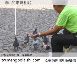 薛 來世的未來相片