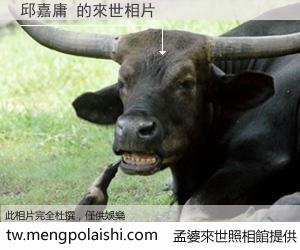 邱嘉庸 來世的未來相片